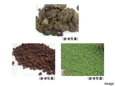 雑草イメージ｜ザ・パークハウス等々力