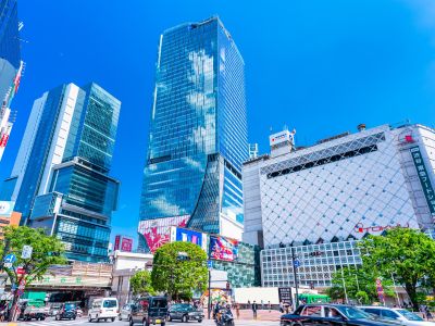 渋谷｜ザ・パークハウス等々力