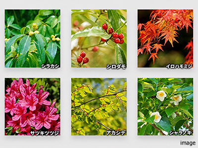 植栽イメージ｜ザ・パークハウス等々力